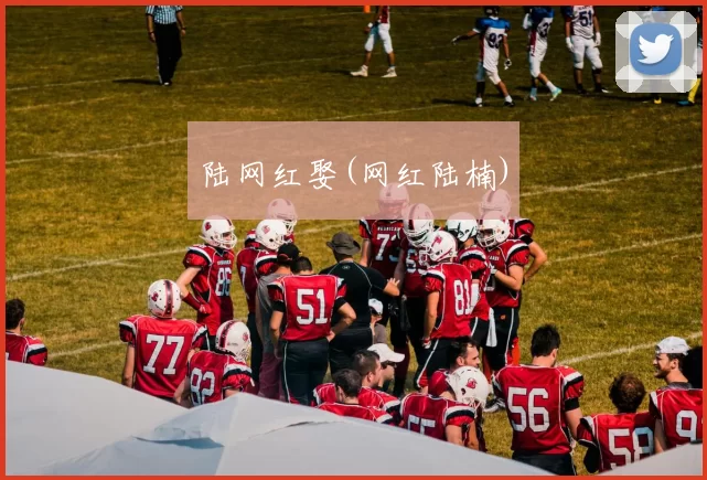 陆网红娶(网红陆楠)